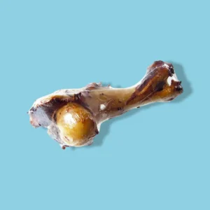 Natuurlijk Dinosaurusbot voor Honden | Runderbot Kauwsnack